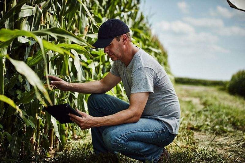 Satellite imagery will help to monitor crop health.