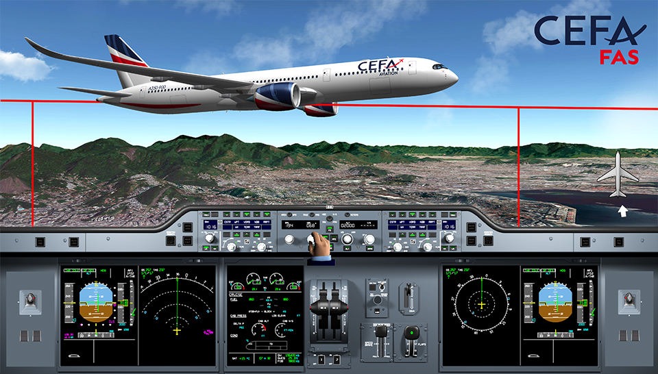 Flight Animation System.