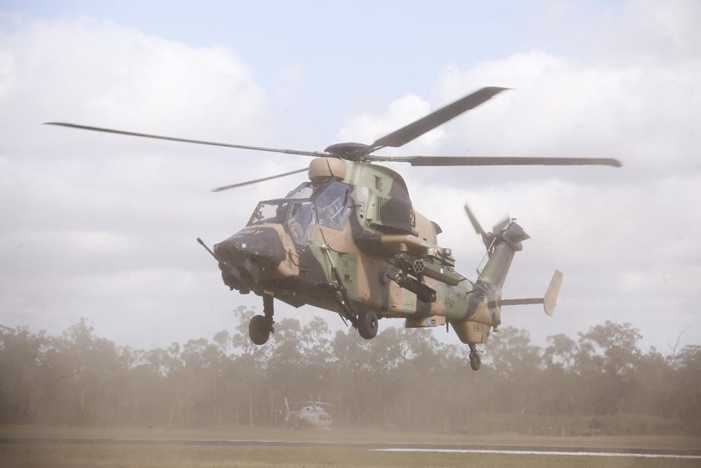 Les Tigre australiens ne sont plus autorisés à voler.