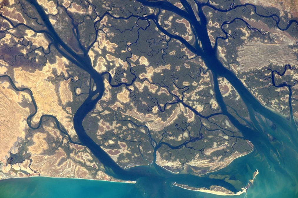 La pointe de Sangomar et le Parc national du delta du Saloum, au Sénégal, vus depuis l’ISS.