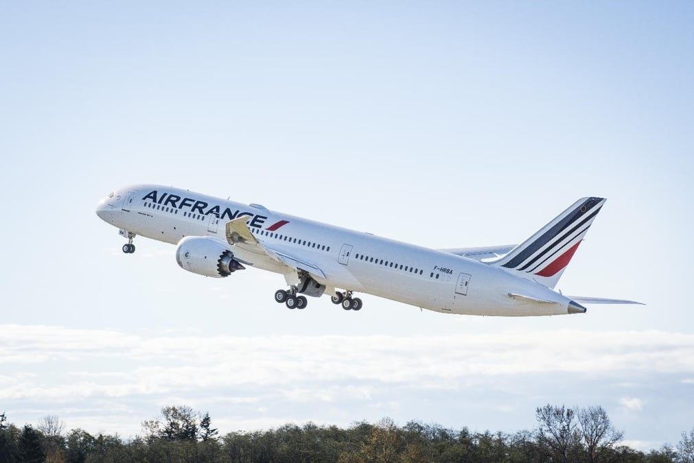 L'impact des attentats et le fort recul de la recette unitaire ont fait fondre le chiffre d'affaires passagers de 859 M€ par rapport à 2015.