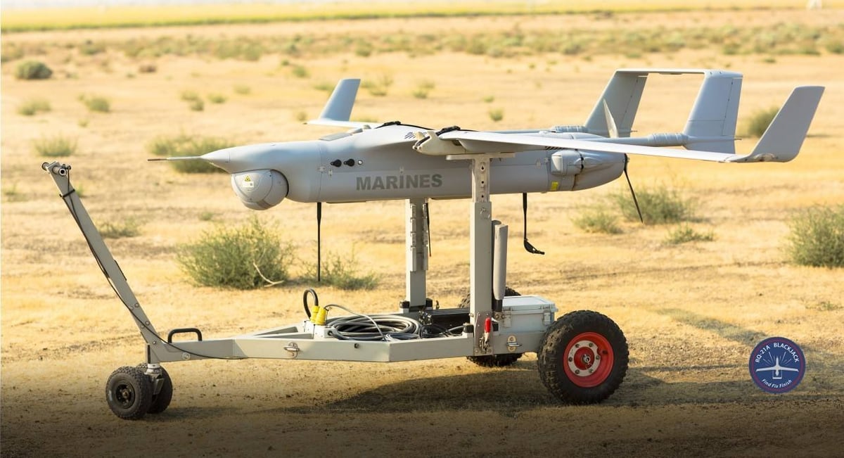 Les EAU pourraient acquérir jusqu'à 20 drones Blackjack.