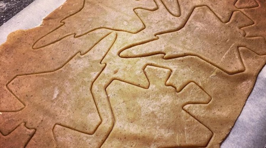 Les biscuits en forme de F-35, publiés par le ministre de la défense norvégien sur un réseau social, qui ont fait l'objet de très vives réactions.