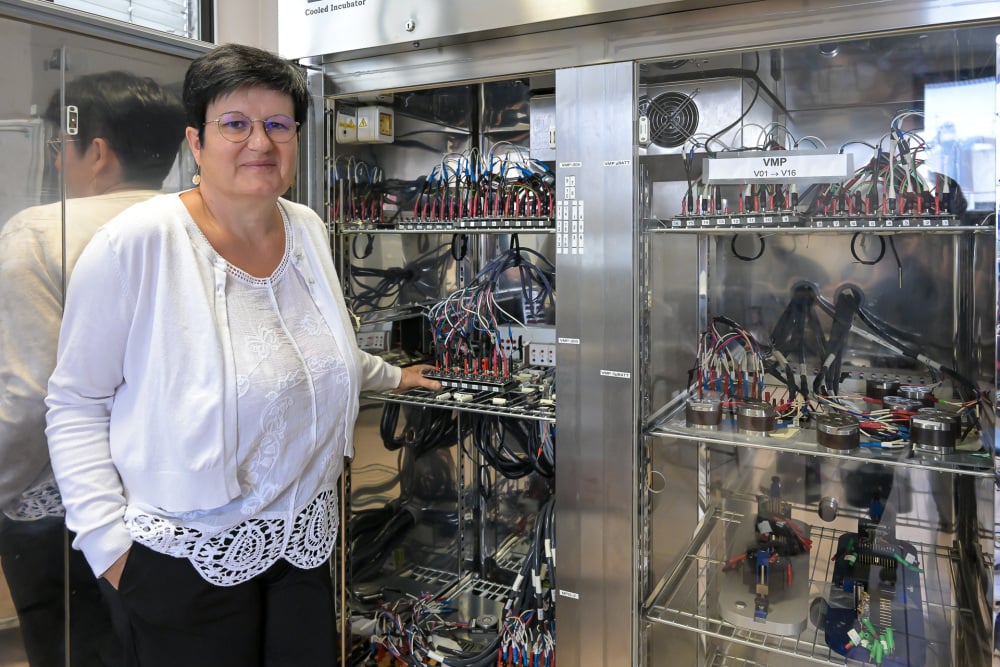 Spécialiste des matériaux utilisés dans les batteries électriques, Laurence Croguennec a reçu la médaille d'argent 2025 du Centre national de la recherche scientifique.