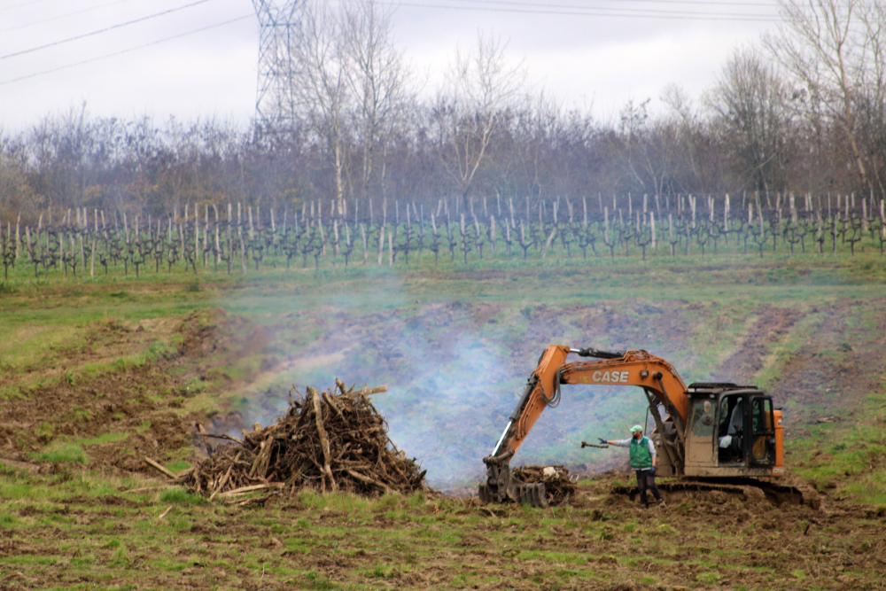 Malgré l'arrachage de 18 000 hectares de vignes en trois ans, le vignoble bordelais reste noyé dans la surproduction.