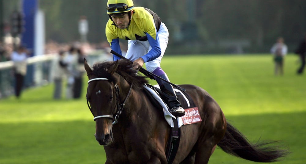 Yutaka Take a gagné des milliers de coursessauf le Prix de l’Arc de Triomphe.