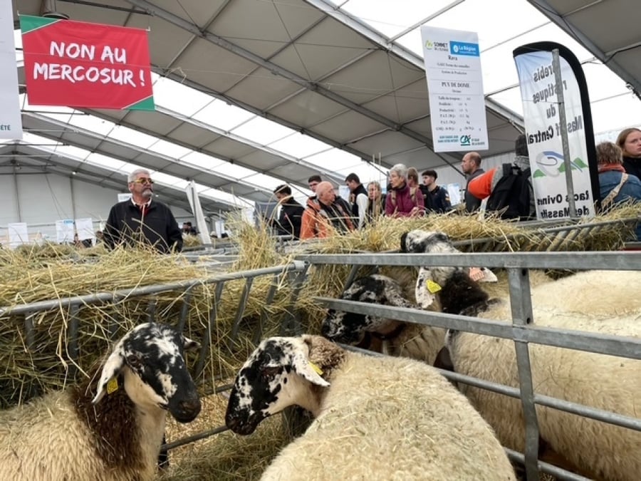 De larges banderoles "Non au Mercosur" parsèment les allées du Sommet de l'élevage, vitrine des revendications des éleveurs.