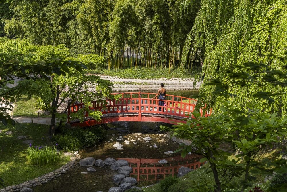 Vincent Isore/IP3 ; Boulogne Billancourt, France May 2, 2025 - View of Musee departemental Albert-Kahn garden. This 4-hectare site, imagined by businessman and philanthropist Albert Kahn, recently reopened after renovation work. JARDIN, NATURE, HAUTS...