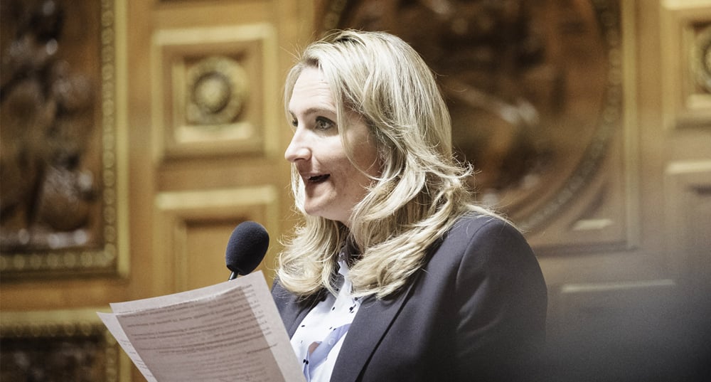 La sénatrice LRs Alexandra Borchio Fontimp lors d'une séance de questions au Sénat.