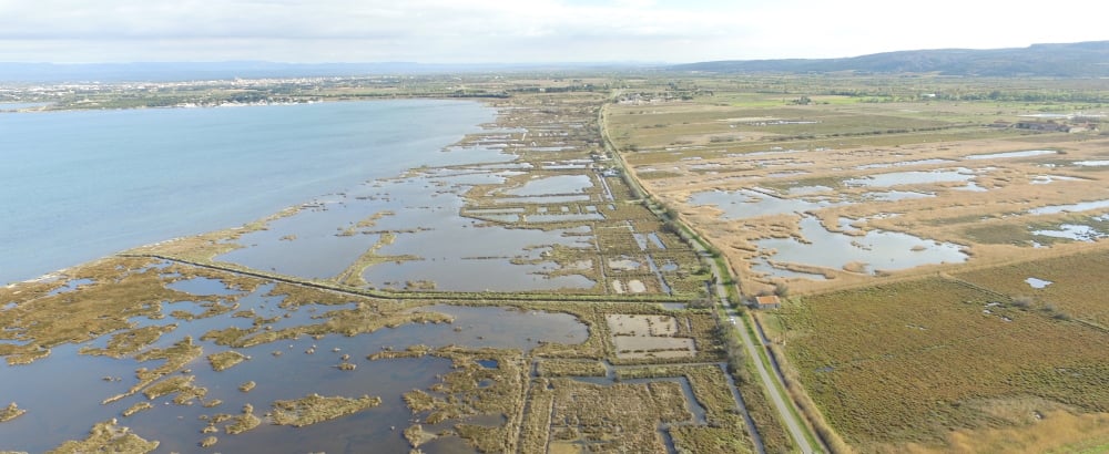 Avec ses 220 kilomètres de façade littorale, l’Occitanie est en première ligne dans la guerre souterraine entre eau douce et eau salée, la salinité venant contaminer les terres par intrusion d’eau de mer dans les nappes phréatiques.