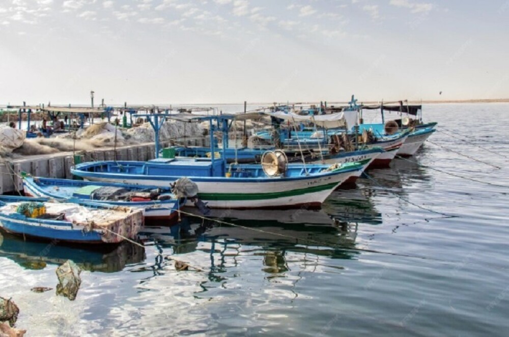 Port de pêche de Zarzis, en Tunisie.