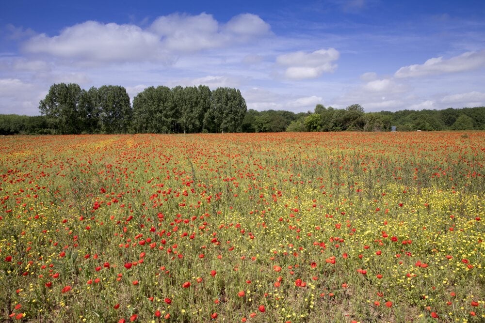 Biot : la Casa et la Ville lancent un appel à projets pour transformer une friche de 6 500 m²