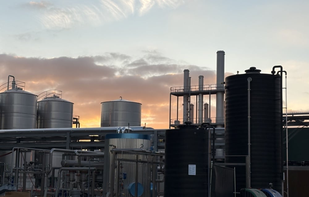 La nouvelle usine de transformation d'Intact produira de grandes séries de légumineuses dès ce mois-ci.