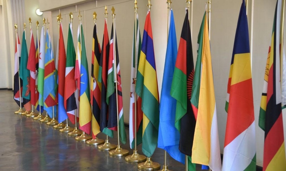 En 2024, les IDE ont représenté la principale source de financement extérieur de la COMESA.
