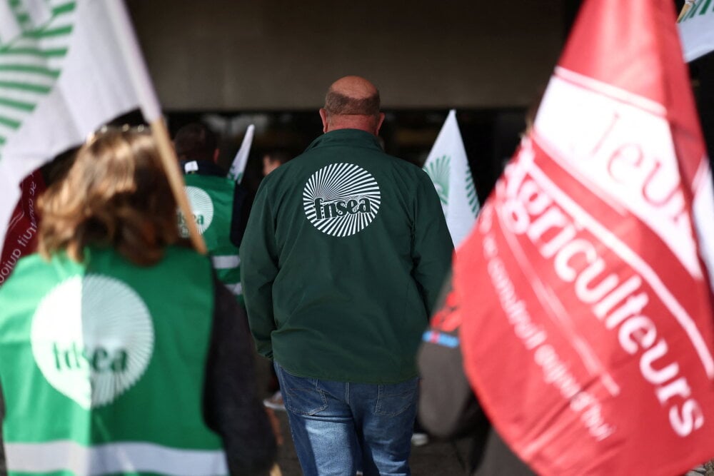 La FNSEA s'oppose à la Confédération paysanne et à la Coordination rurale sur la stratégie de lutte contre l'épidémie.