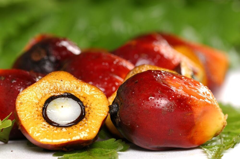 Le Ghana a importé en moyenne près de 257 400 tonnes d’huile de palme brute par an, entre 2019 et 2023.