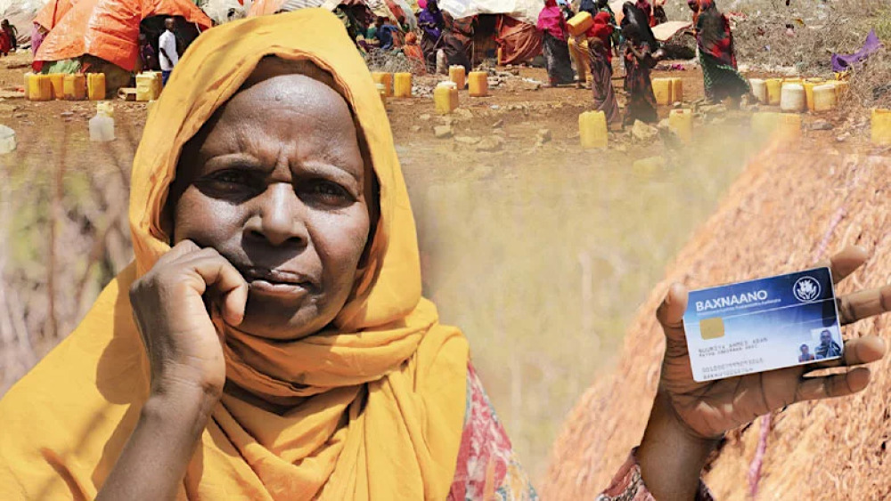 Petit à petit la gestion de l’économie somalienne se modernise.