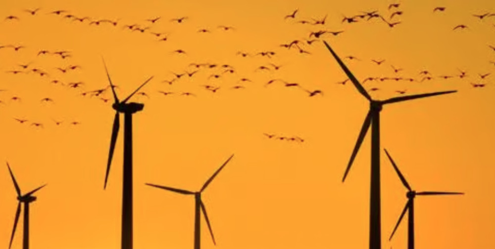 Les systèmes de détection avifaune (SDA) permettent de détecter en temps réel la présence d'oiseaux à proximité des éoliennes pour réduire les risques de mortalité.