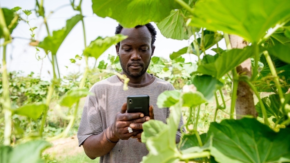 L’agriculture ouest-africaine a surtout besoin d’une connectivité simple et de paiements électroniques interopérables.