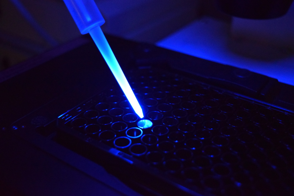 ChemoSensoryx Biosciences vient renforcer l'expertise de Mane, numéro 5 mondial sur le volet innovation de l'odorat, du goût et des sensations trigéminales