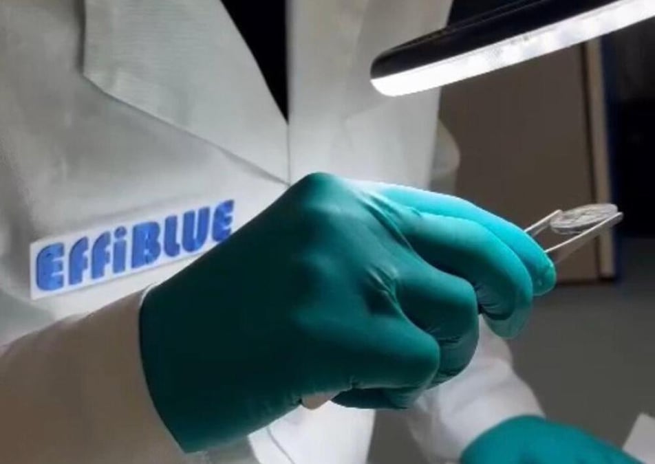 Le Ginestium apparaît comme un candidat matériau crédible pour le secteur de la microélectronique.