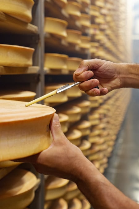 Le fromage Abondance a multiplié le volume de sa production par dix, depuis l'obtention de son appellation d'origine protégée dans les années 1990.