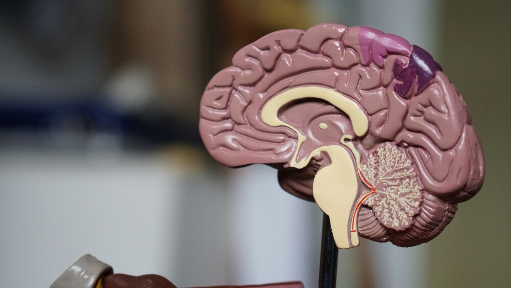 Photo d'illustration. Grâce à son accord stratégique avec Biocodex, THX Pharma sécurise le développement de deux candidats médicaments pour trois maladies rares.