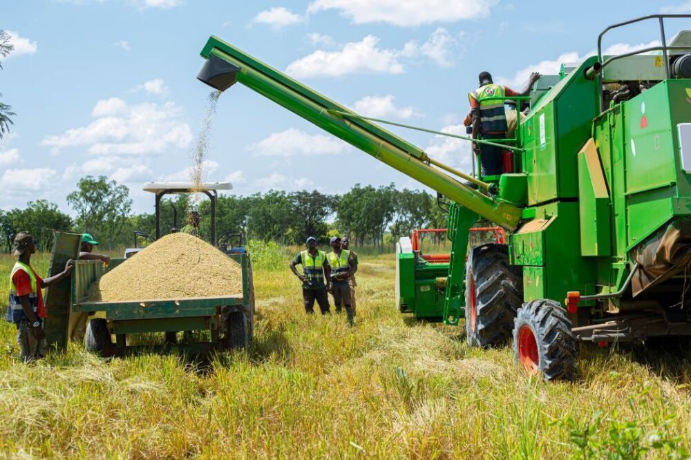 Avec le nouveau plan, la Côte d’Ivoire mise sur une agriculture moderne, résiliente et tournée vers la souveraineté alimentaire.