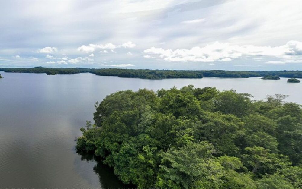 Le Bassin du Congo, plus grand puits de carbone au monde.
