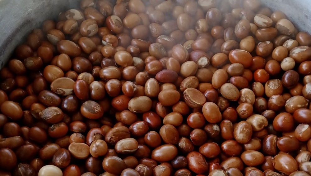 Premier producteur mondial, le Nigeria fournit chaque année entre 350 000 et 500 000 tonnes de noix de karité, soit près de 40 % de l’offre globale.