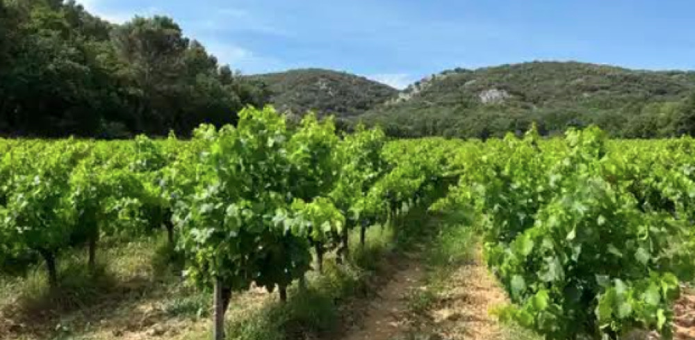 le groupe Perret, négociant gardois dans l’agrofourniture, la collecte de céréales et oléagineux, le matériel agricole, l'irrigation et le process vinicole, a officialisé le rachat de Soufflet Vigne Sud Est.