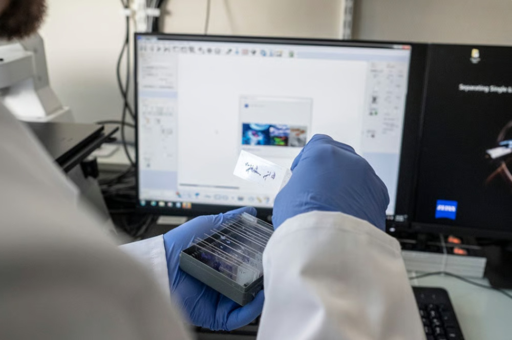 Avec le projet Shape-Med@Lyon et l'ID Clsuter, l'écosystème de recherches en santé lyonnais renforce les synergies entre les acteurs des santés humaines et animales.