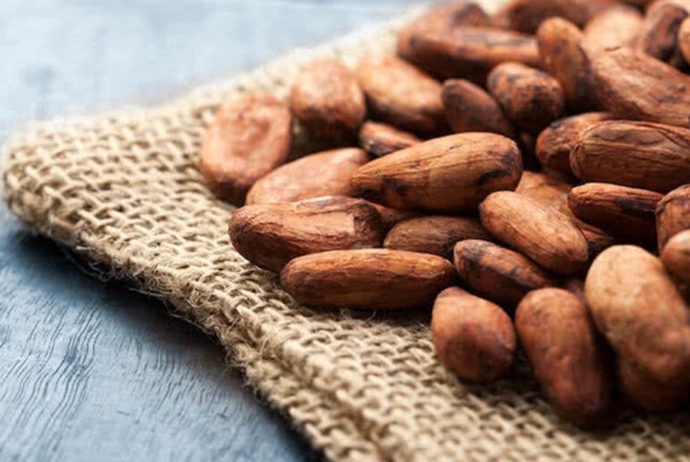 Fèves de cacao brut.