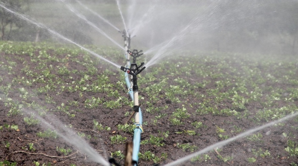 L’agriculture nigérienne reste très largement tributaire de la pluviométrie, ce qui rend le secteur extrêmement vulnérable aux chocs climatiques.