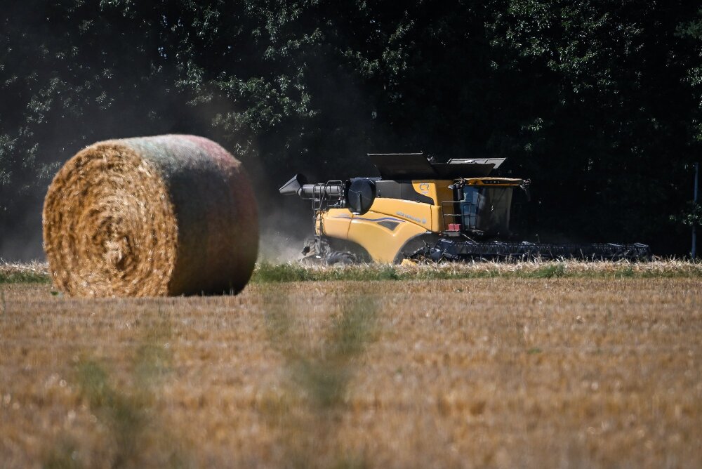 Face à la pénurie d'azote importé, la France tente de protéger sa souveraineté alimentaire. Un plan d'urgence est lancé alors que les stocks mondiaux s'épuisent.