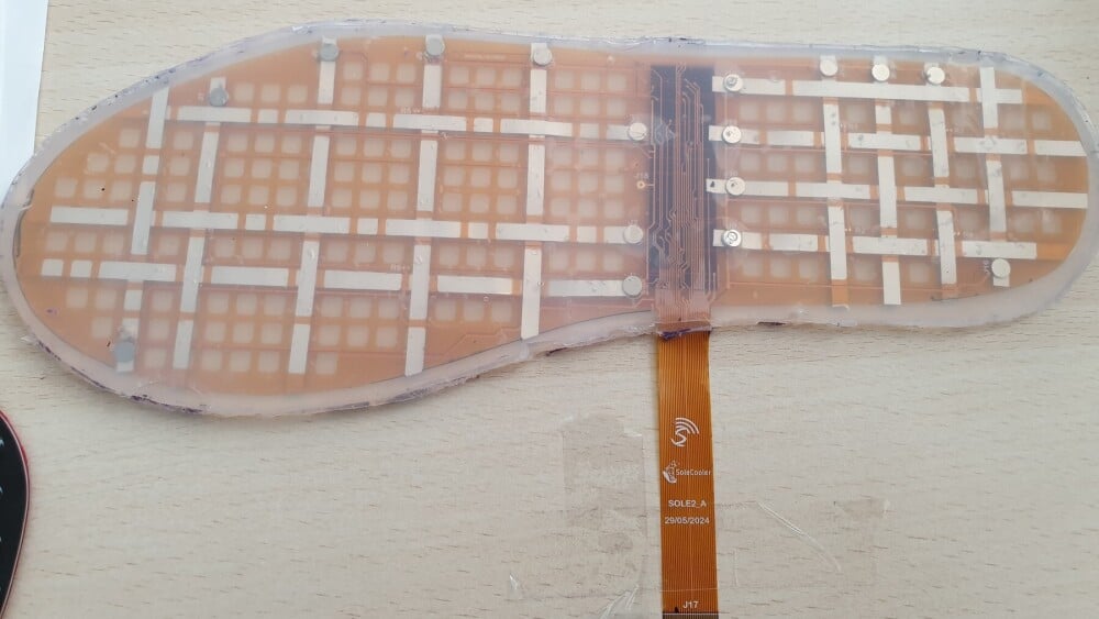 La semelle innovante WarnFeet, conçue par SoleCooler, est une semelle connectée, sans batterie, et destinée à prévenir les risques d’ampoules et d’ulcères chez les personnes diabétiques.