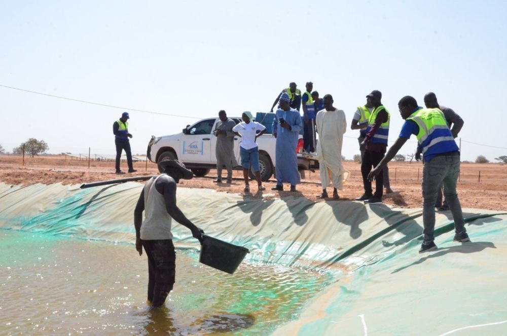Suivi d’un projet aquacole sur site par l’Agence nationale de l’aquaculture du Sénégal.