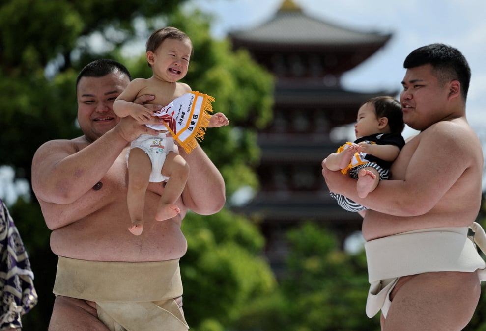 Des lutteurs de sumo amateurs participent au "Nakizumo", une tradition japonaise durant laquelle deux bébés sont portés face à face tandis qu'un arbitre tente de les faire pleurer à l'aide de grimaces et de cris. Le vainqueur est le nourrisson qui...