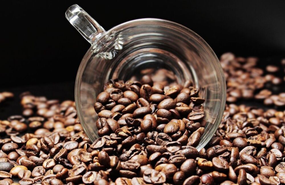 Près de 45 % du café kényan est exporté vers trois principaux marchés : la Belgique, les États-Unis et l’Allemagne.