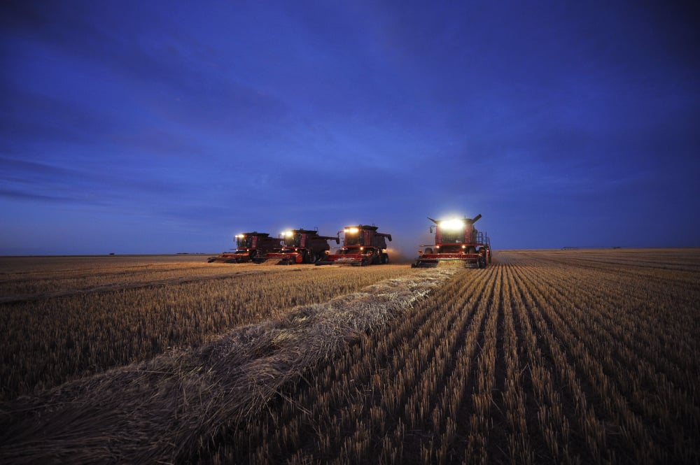 L'indice FAO des prix des céréales a progressé de 2,6 % en mai par rapport à avril et de près de 5 % sur un an.