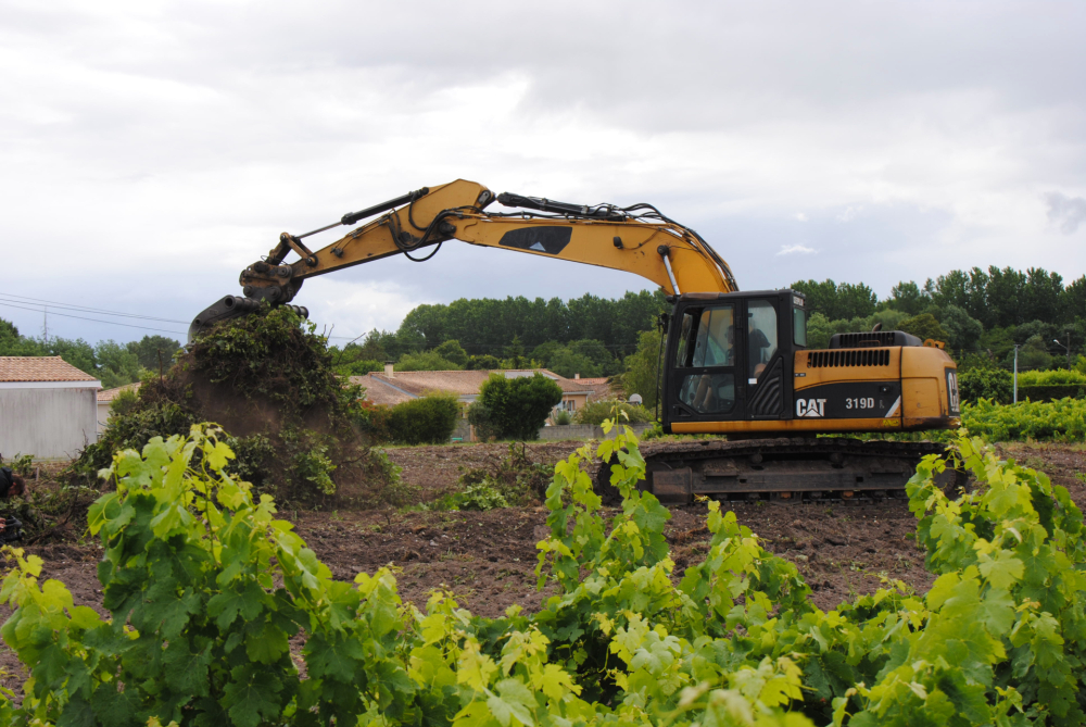 L'arrachage d'une parcelle de vigne à Listrac, dans le Médoc, en juin 2026.