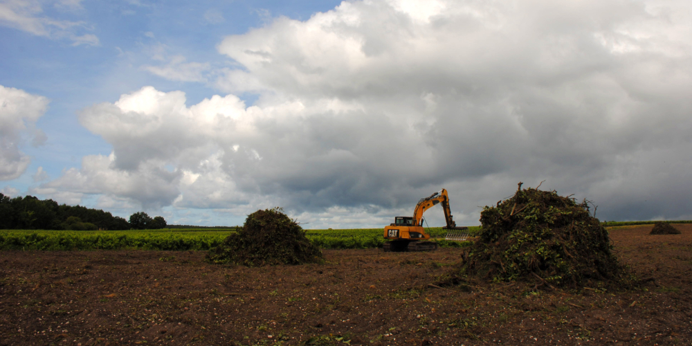 L’arrachage des vignes qui frappe le vignoble bordelais gagne aussi le Médoc.