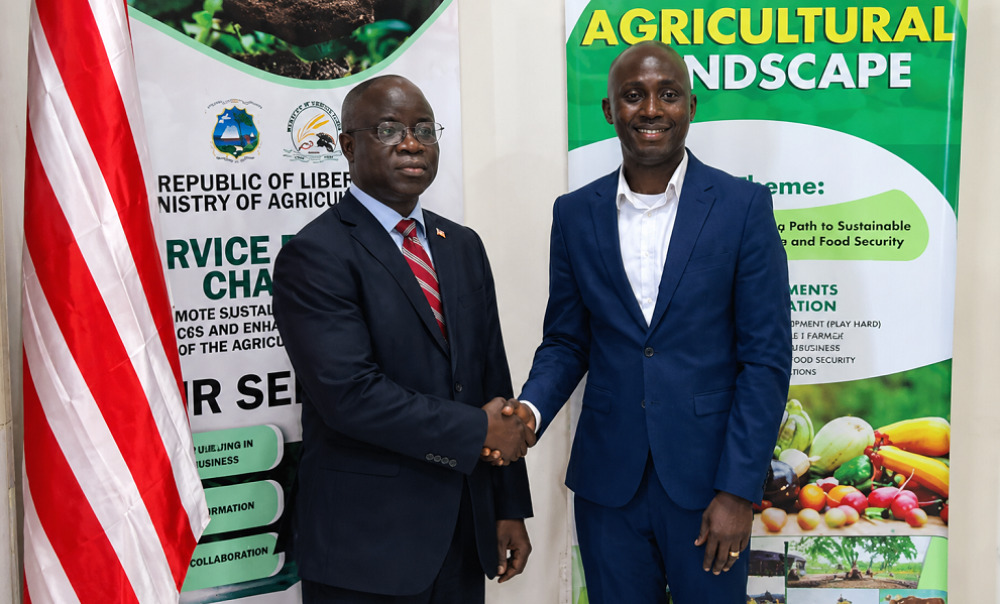 La filière café ouest-africaine ne représentait qu’environ 14 % de la production continentale, en 2024, loin derrière l’Afrique de l’Est (+60 %).