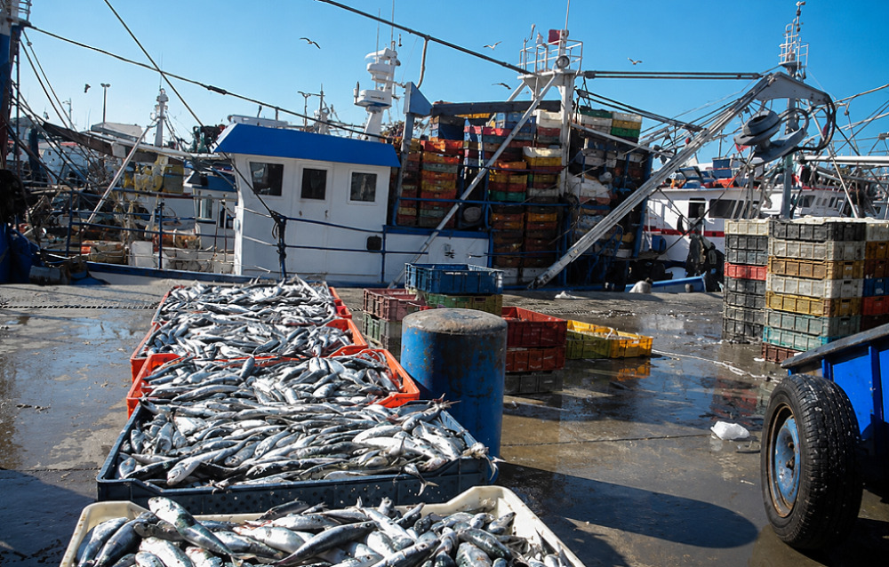 Le futur port doit offir des installations plus sûres et confortables pour les activités des communautés locales de pêcheurs.