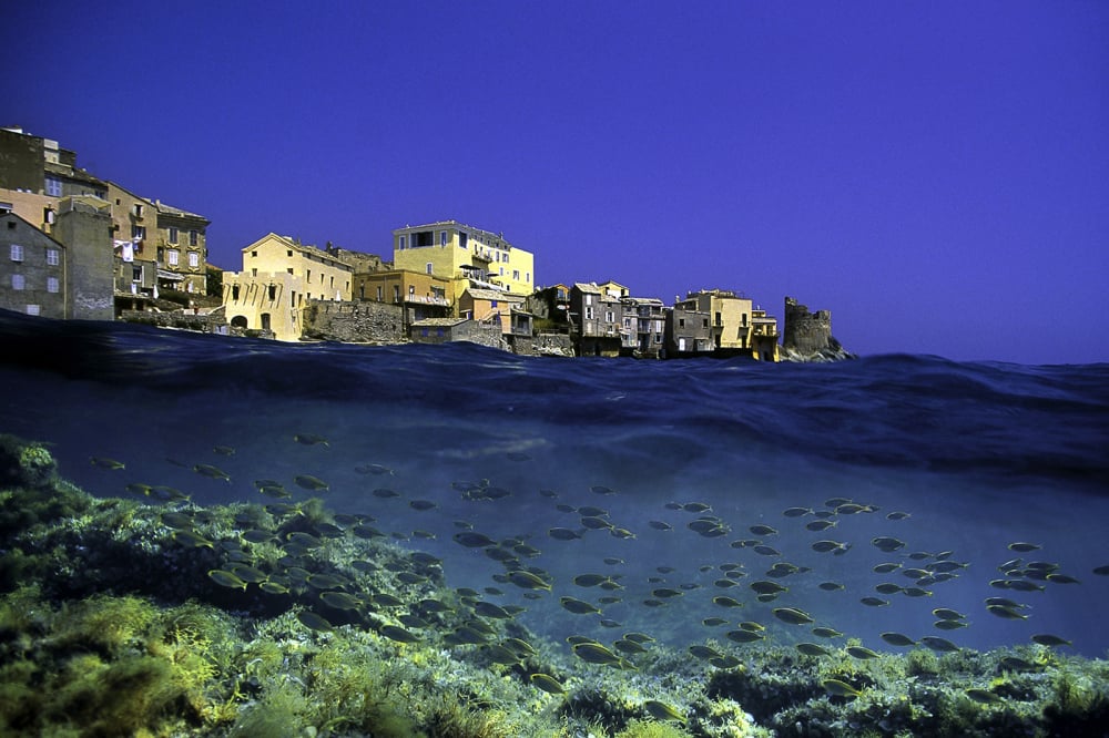 Le port d'Erbalunga, en Haute-Corse.
