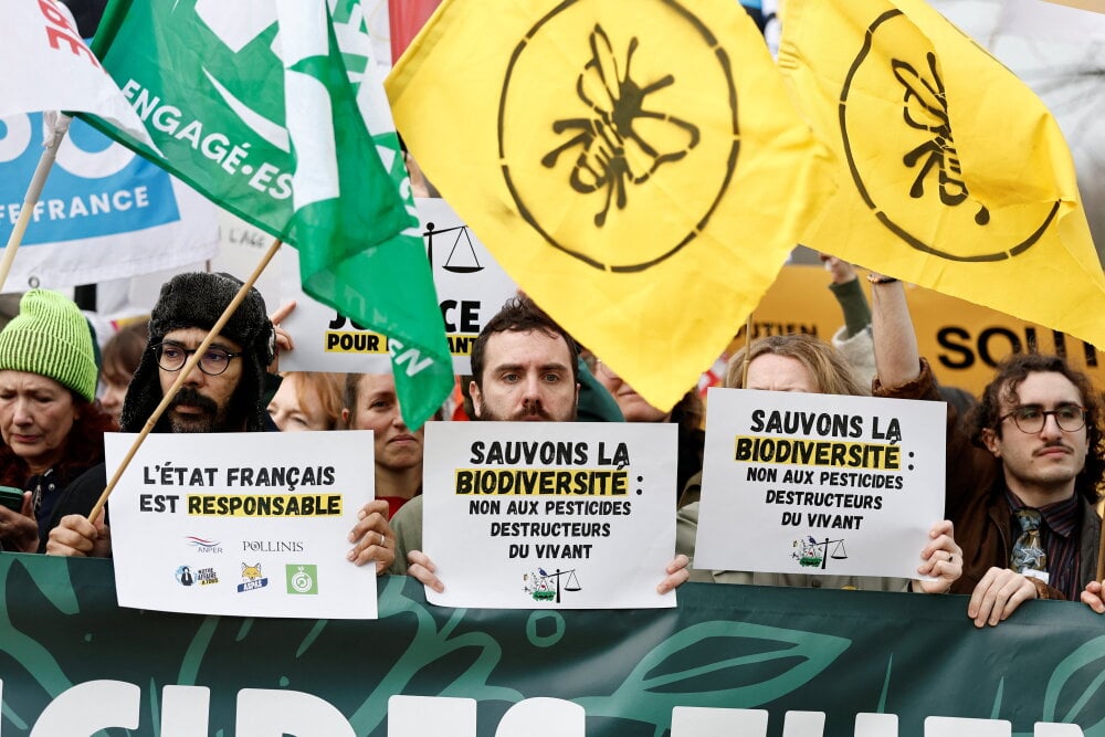 La commission des Affaires économiques du Sénat veut la réintroduction dérogatoire de deux insecticides interdits en France.