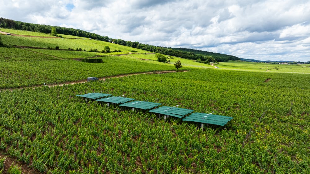 La start-up clermontoise Bienesis développe depuis 2024 un système de canopée rétractable qui vise à protéger les cultures (vin, petits fruits) des aléas climatiques, tout en respectant leur lien avec le milieu naturel.