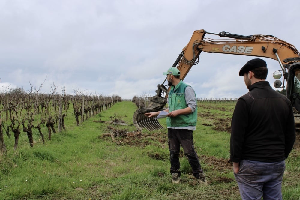 En Gironde, l'arrachage des vignes a débuté en 2024.