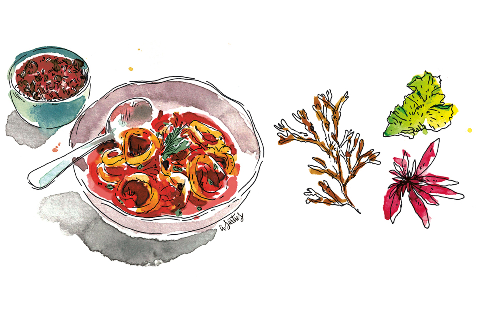 Découvrez la recette de la semaine d'Anne Etorre : les calamars à l’armoricaine.