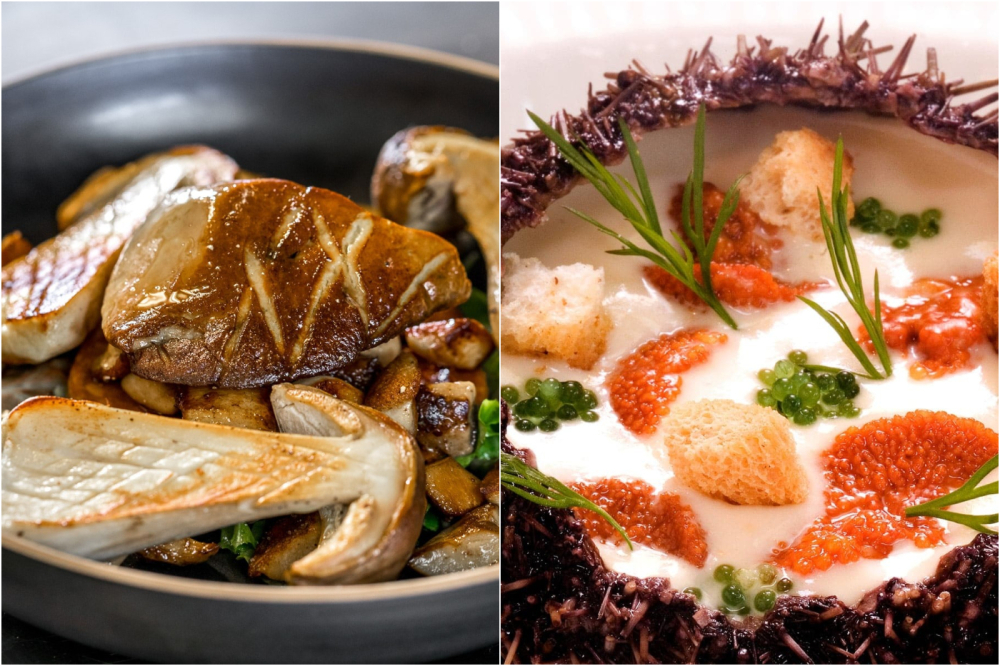La cuisine des poissons, des crustacés, les vol-au-vent et des desserts pointus sont les atouts de la maison.